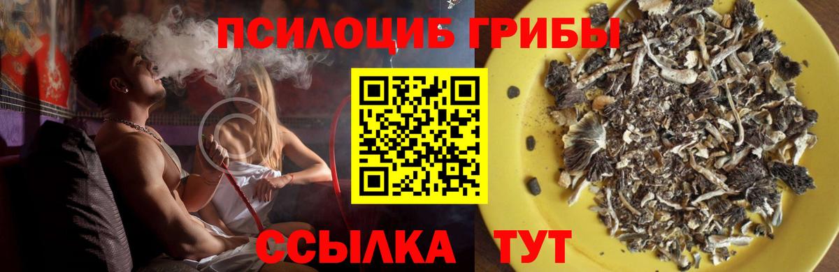 Псилоцибиновые грибы Psilocybine cubensis  Вход с VPN  Новокубанск 